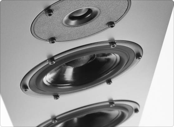 Pylon Audio Diamond 30 - cecha 1